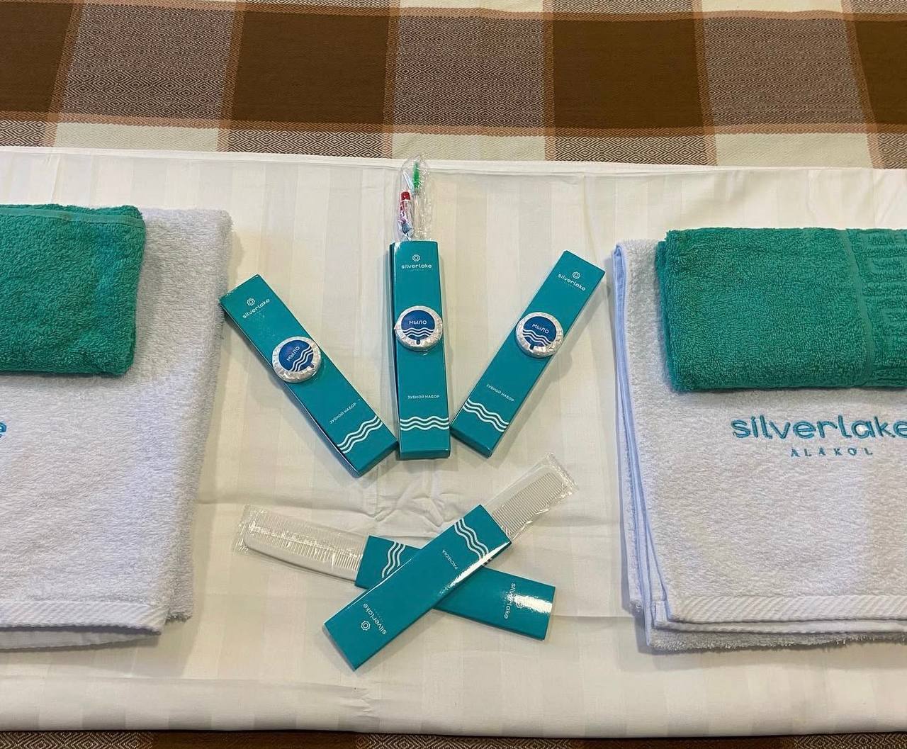 photo_2026-03-07_04-26-32